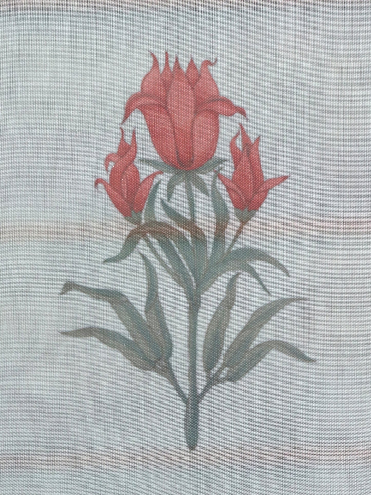 Organza Sheer Curtain Floral Printed - 50x80 inches (Pack of 1) (Hidden Loop)