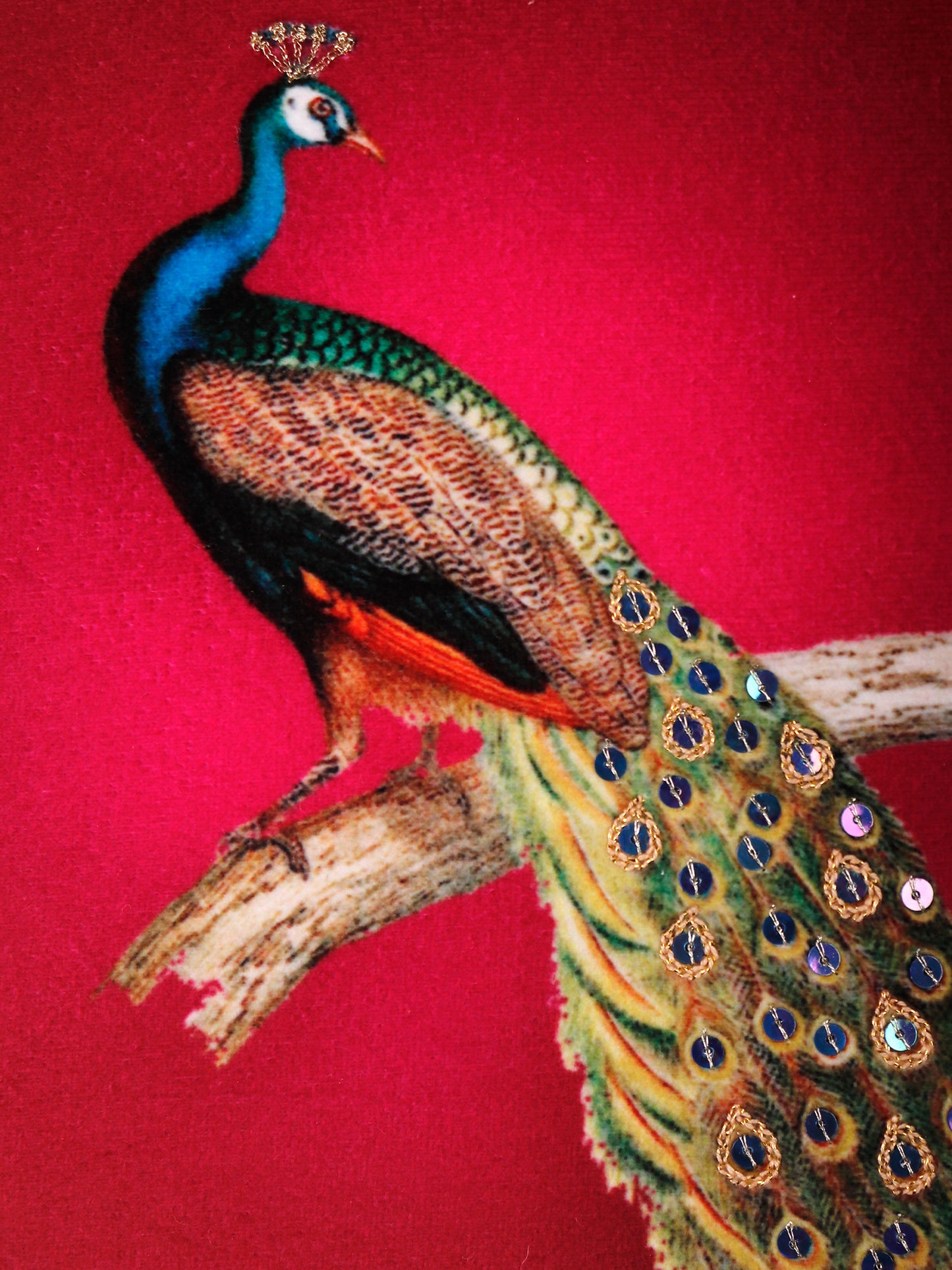Hand Embroidered Pichwai Cushion Cover with Digital Print | Peacock Embellished Velvet 16x16 Inches