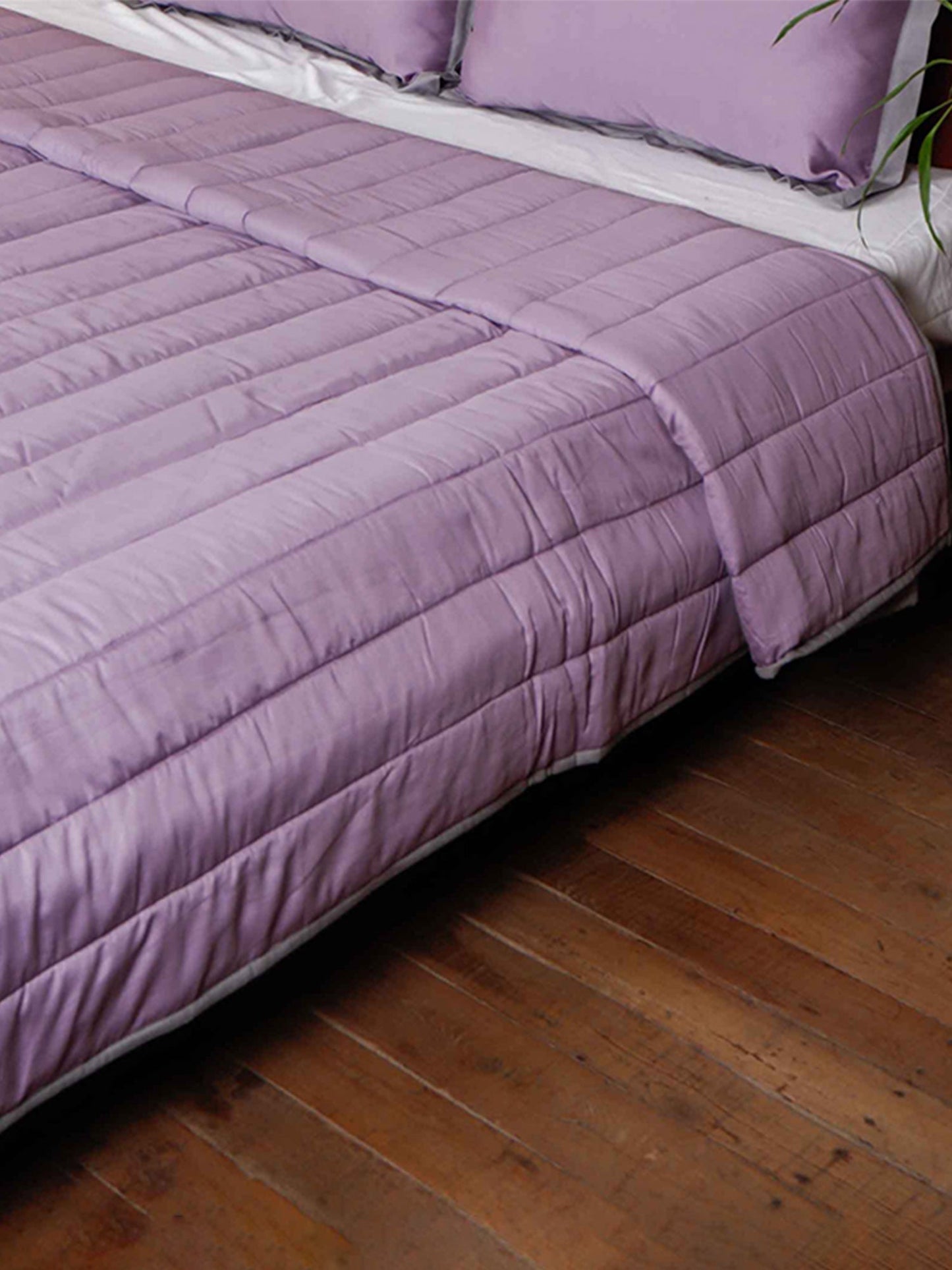 Purple colored bed quilt /comforter with 2 matching pillow covers made from polyester front and cotton backed quilt for king size double bed 