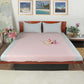 Cotton Blend Hand Embroidered Bedcover for Double Bed with 2 Pillow Covers | Chawal Taka - Queen Size - Duckegg Pink with Blue Pillows| Bedcover 90 x 108inches (7.5x9ft), Pillow 17x27in