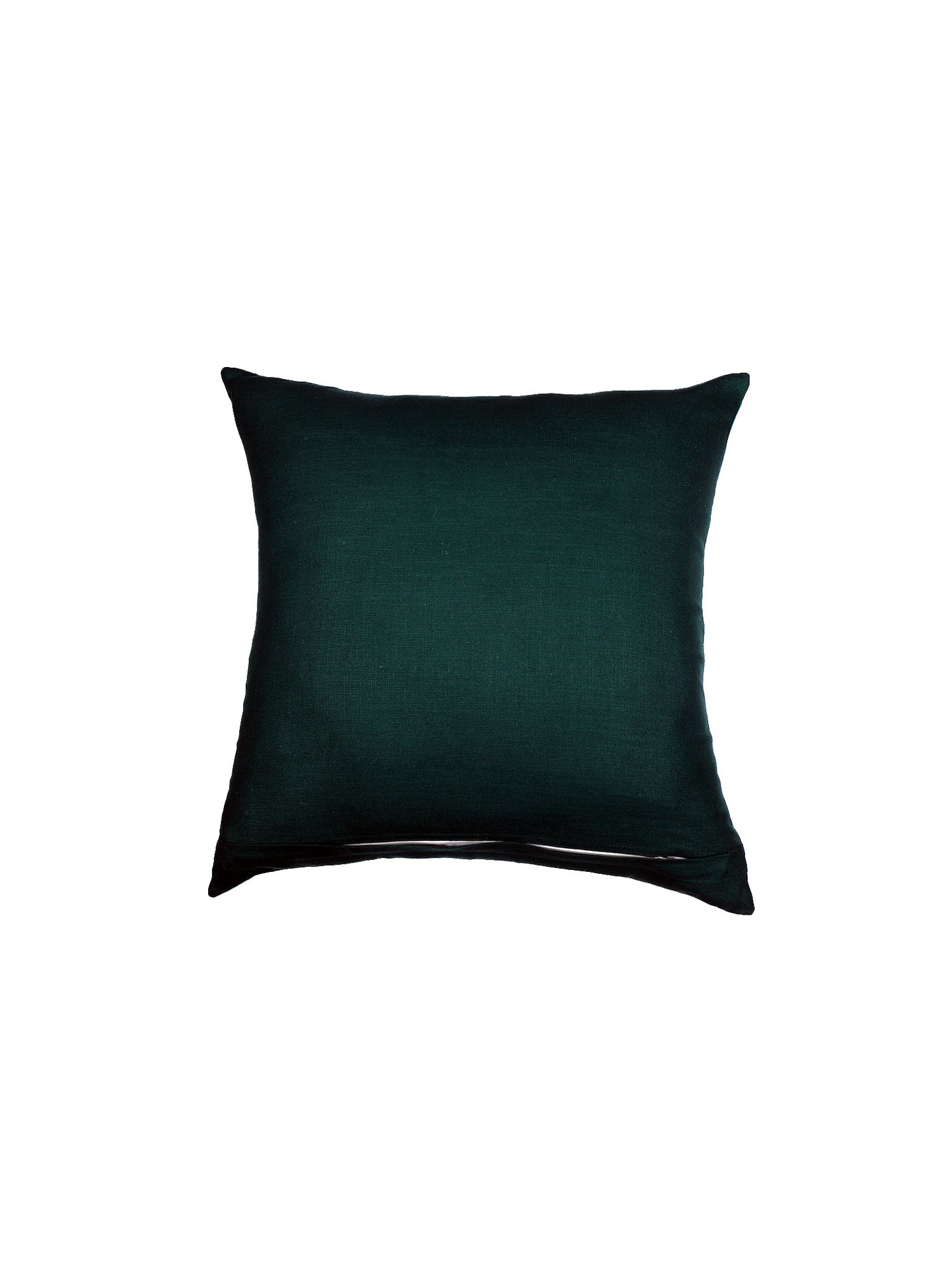 Eurosham Cushion Cover with Motif Print - Polycanvas | Light Green - 20x20in