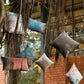 Living Collection - Sandhya Bagh
