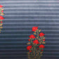 Cushion Cover Velvet Floral Stripes- 12" X 20"