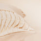 Technique Cushion Cover Cotton Blend White Pleated - 14"x22"